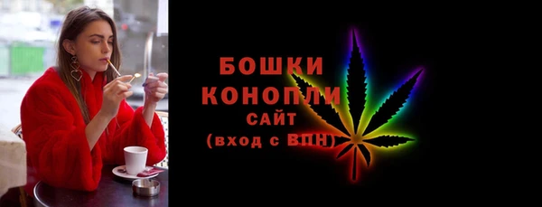 прущие грибы Верея