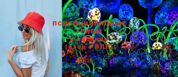 героин Богданович