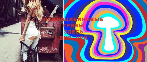 героин Богданович