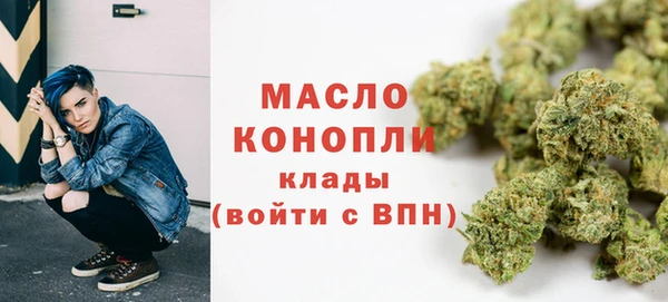 2c-b Бородино