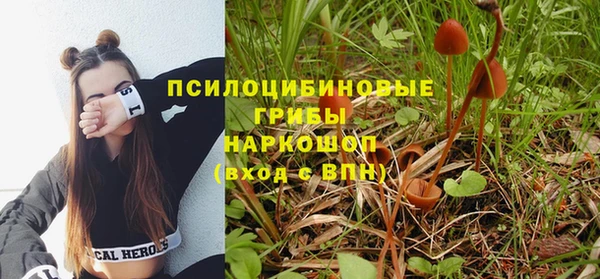метадон Богородск