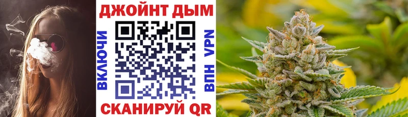 Бошки Шишки план  ссылка на мегу как войти  Салаир 
